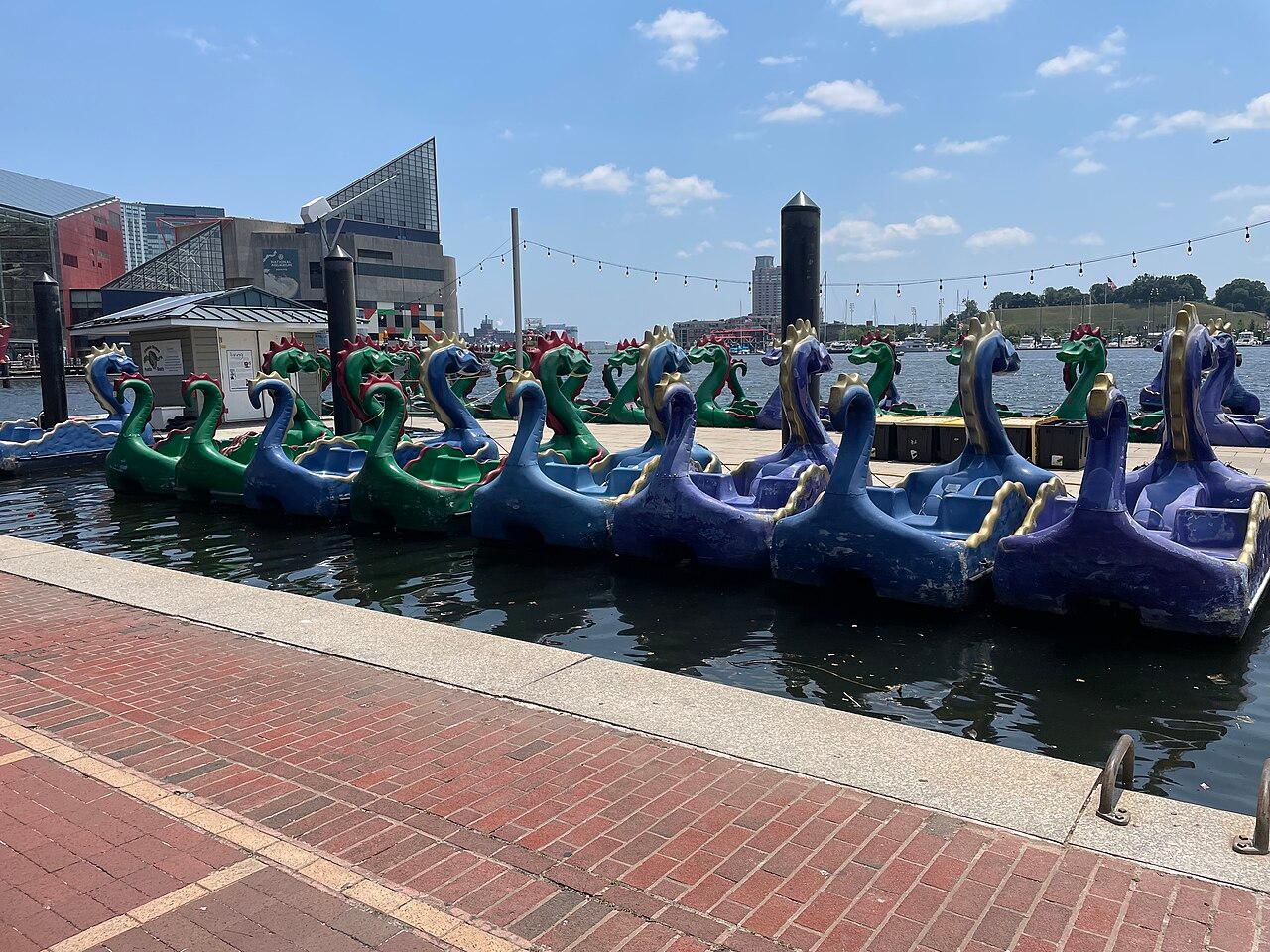 The Chessie dragon paddle boats moored at the Inner Harbor below the National Aquarium