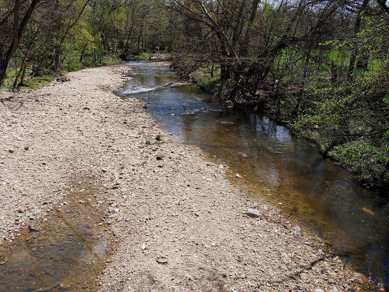 Herring Run in spring, a shallow stream over a gravel bar between wooded banks, seen from the Woodbourne Avenue bridge