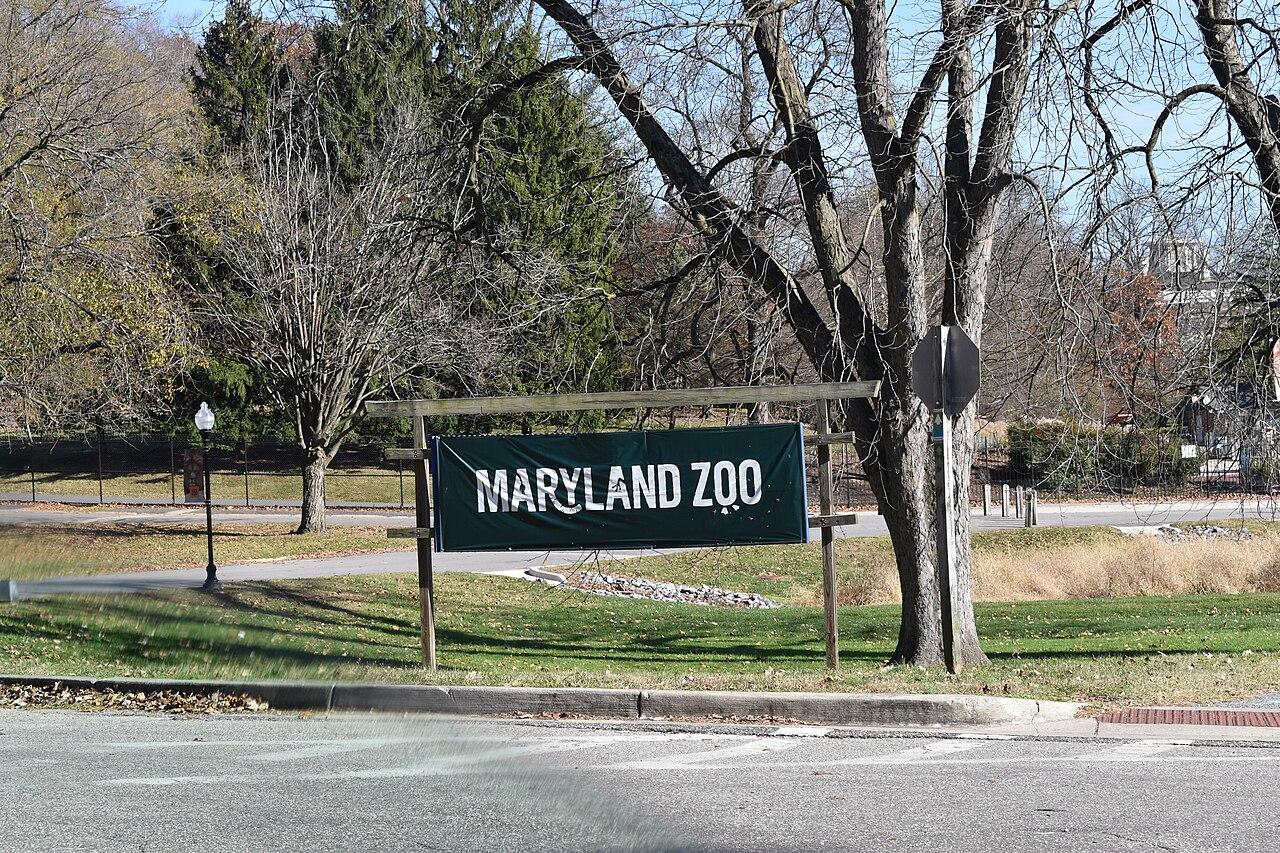 The Maryland Zoo's green sign on the lawn in Druid Hill Park, bare trees behind